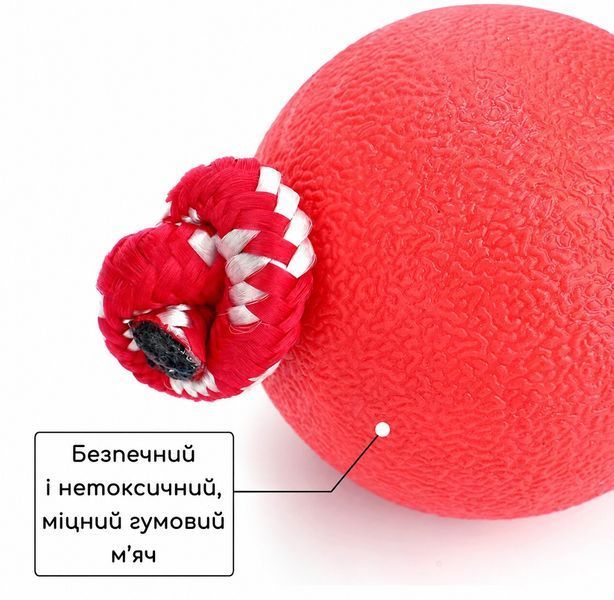 Мяч для собак на верёвке 5 см &mdash; резиновая игрушка для дрессировки, апортировки и перетягивания DT01-RD фото